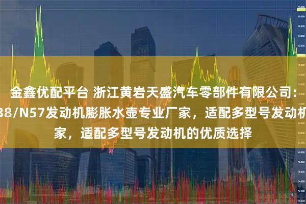 金鑫优配平台 浙江黄岩天盛汽车零部件有限公司：宝马B48/B38/N57发动机膨胀水壶专业厂家，适配多型号发动机的优质选择